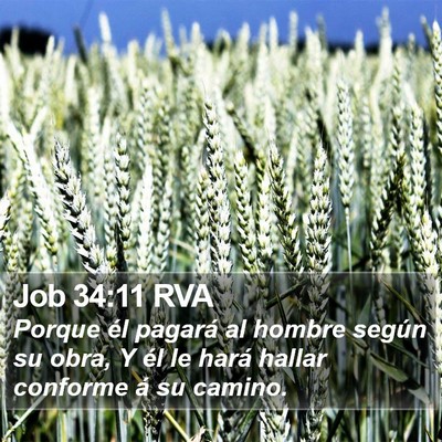Job 34:11 RVA Bible Verse Image