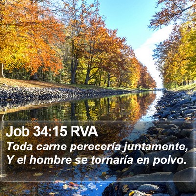 Job 34:15 RVA Bible Verse Image