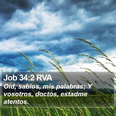 Job 34:2 RVA Bible Verse Image