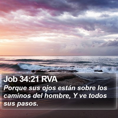 Job 34:21 RVA Bible Verse Image