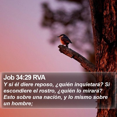 Job 34:29 RVA Bible Verse Image