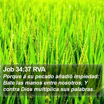 Job 34:37 RVA Bible Verse Image