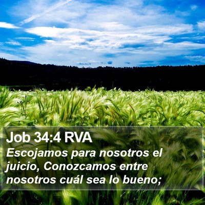 Job 34:4 RVA Bible Verse Image