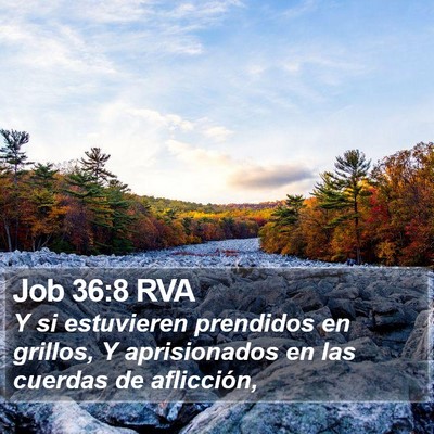 Job 36:8 RVA Bible Verse Image