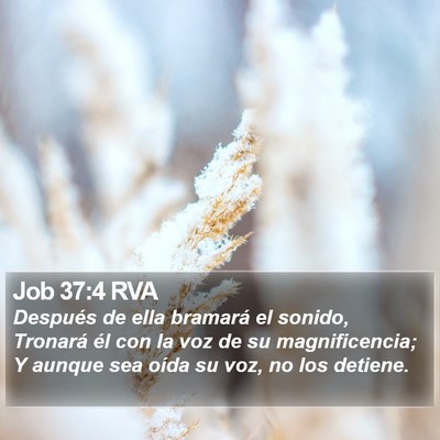 Job 37:4 RVA Bible Verse Image