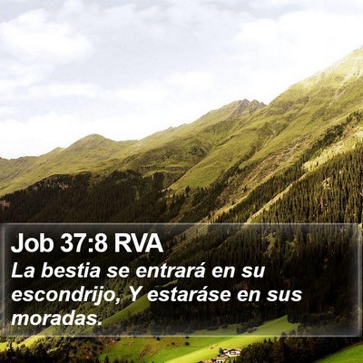 Job 37:8 RVA Bible Verse Image