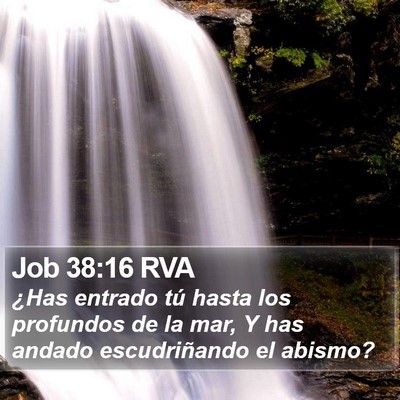 Job 38:16 RVA Bible Verse Image