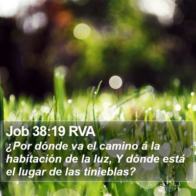 Job 38:19 RVA Bible Verse Image