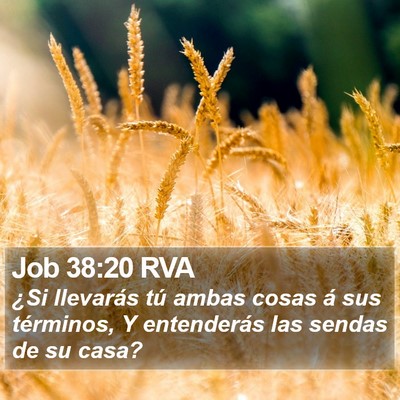 Job 38:20 RVA Bible Verse Image
