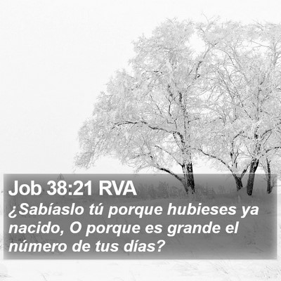 Job 38:21 RVA Bible Verse Image