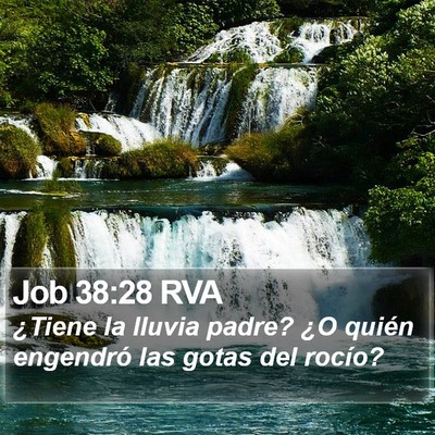 Job 38:28 RVA Bible Verse Image