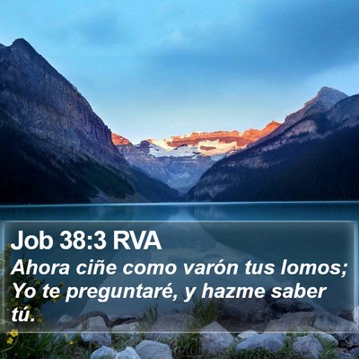 Job 38:3 RVA Bible Verse Image