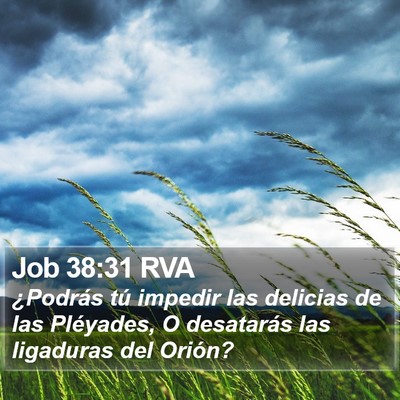 Job 38:31 RVA Bible Verse Image