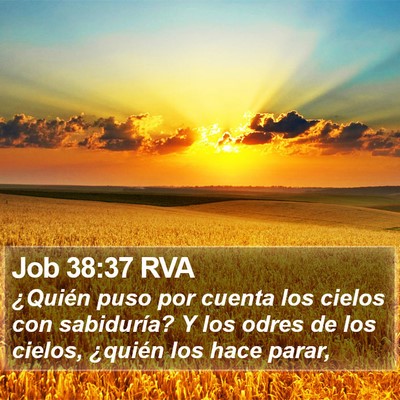 Job 38:37 RVA Bible Verse Image