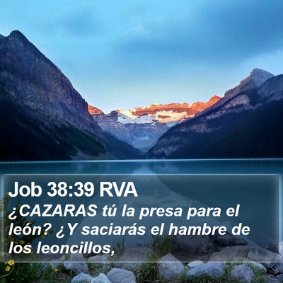 Job 38:39 RVA Bible Verse Image
