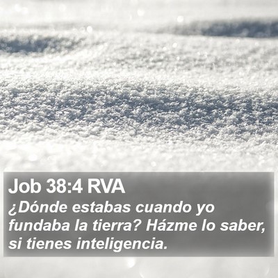 Job 38:4 RVA Bible Verse Image