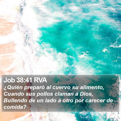 Job 38:41 RVA Bible Verse Image