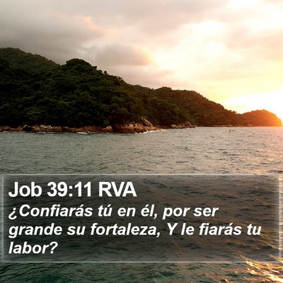 Job 39:11 RVA Bible Verse Image