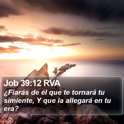 Job 39:12 RVA Bible Verse Image