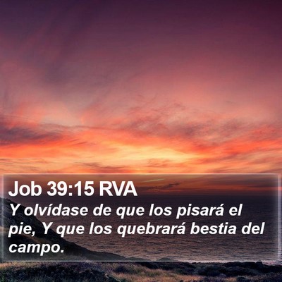 Job 39:15 RVA Bible Verse Image