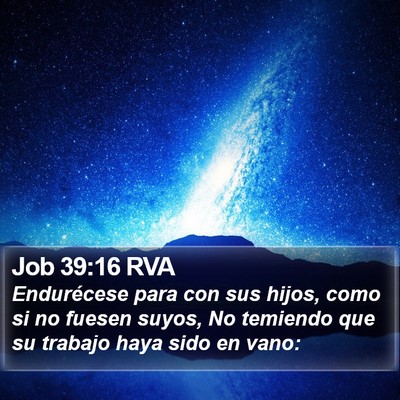 Job 39:16 RVA Bible Verse Image