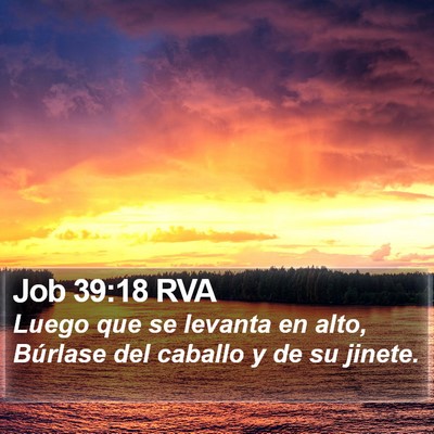 Job 39:18 RVA Bible Verse Image
