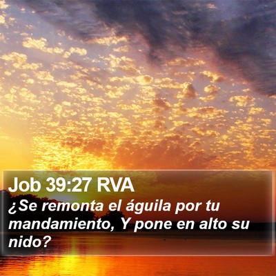 Job 39:27 RVA Bible Verse Image