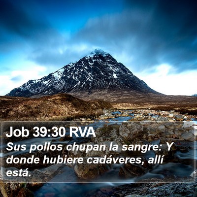 Job 39:30 RVA Bible Verse Image