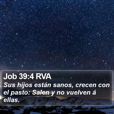 Job 39:4 RVA Bible Verse Image