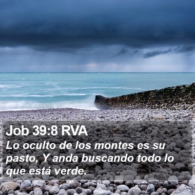 Job 39:8 RVA Bible Verse Image