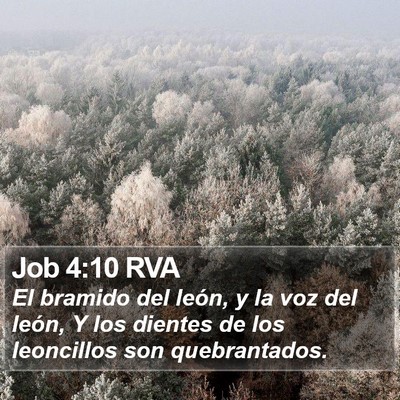 Job 4:10 RVA Bible Verse Image