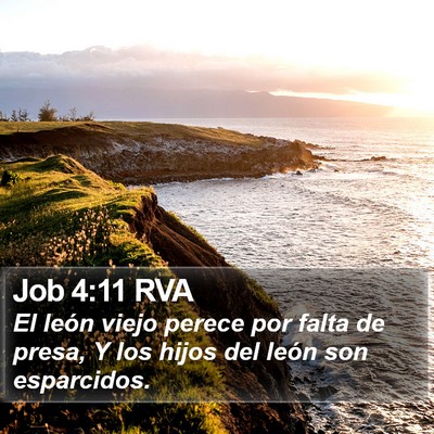 Job 4:11 RVA Bible Verse Image
