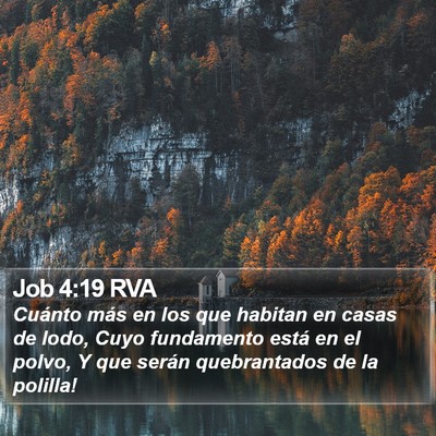 Job 4:19 RVA Bible Verse Image