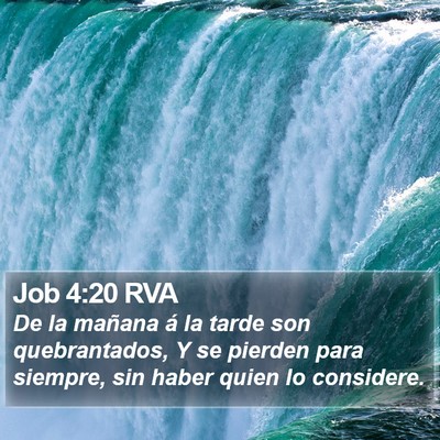 Job 4:20 RVA Bible Verse Image