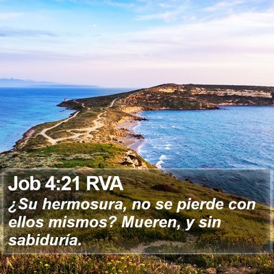 Job 4:21 RVA Bible Verse Image