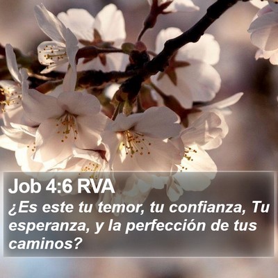Job 4:6 RVA Bible Verse Image