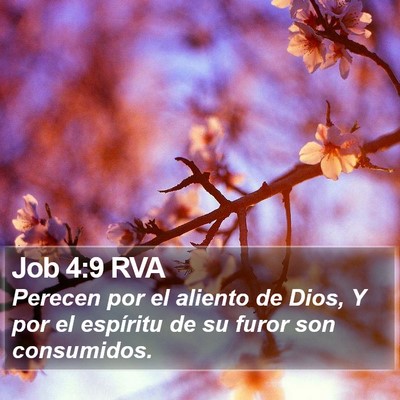 Job 4:9 RVA Bible Verse Image