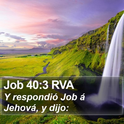 Job 40:3 RVA Bible Verse Image