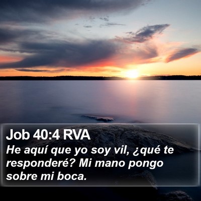 Job 40:4 RVA Bible Verse Image