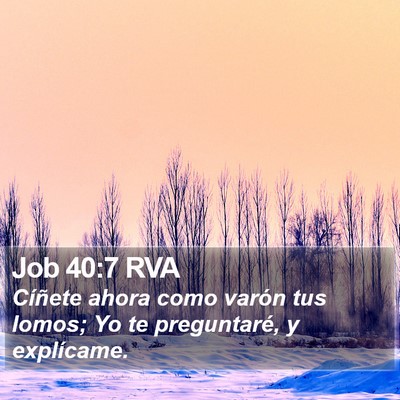 Job 40:7 RVA Bible Verse Image