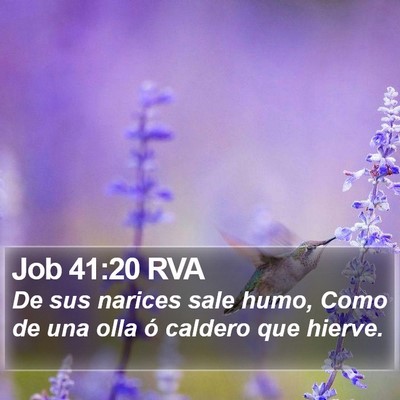 Job 41:20 RVA Bible Verse Image