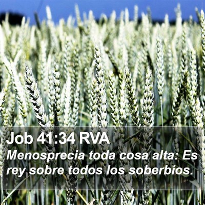 Job 41:34 RVA Bible Verse Image