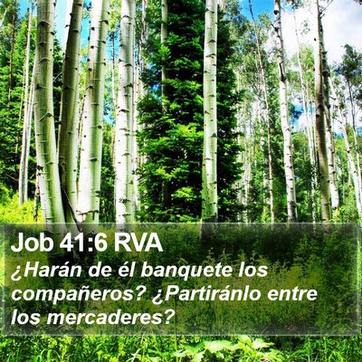 Job 41:6 RVA Bible Verse Image