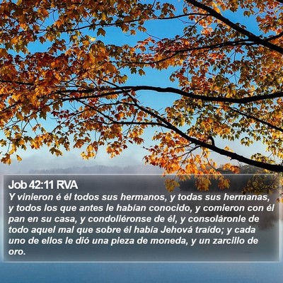 Job 42:11 RVA Bible Verse Image
