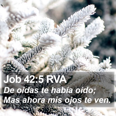 Job 42:5 RVA Bible Verse Image