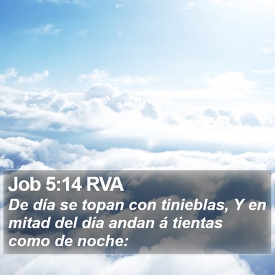 Job 5:14 RVA Bible Verse Image