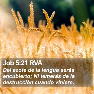 Job 5:21 RVA Bible Verse Image