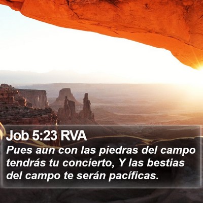 Job 5:23 RVA Bible Verse Image