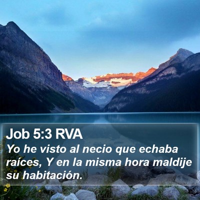 Job 5:3 RVA Bible Verse Image