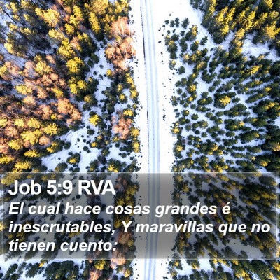 Job 5:9 RVA Bible Verse Image